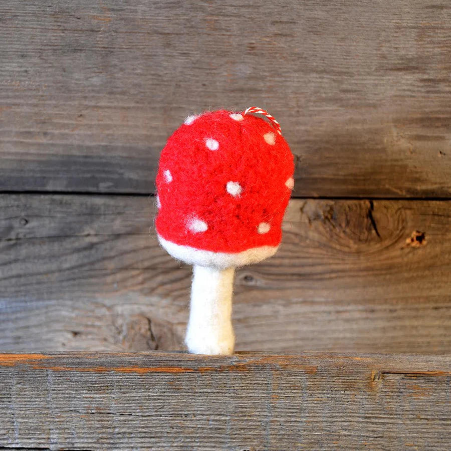 Mushroom Felting Kit